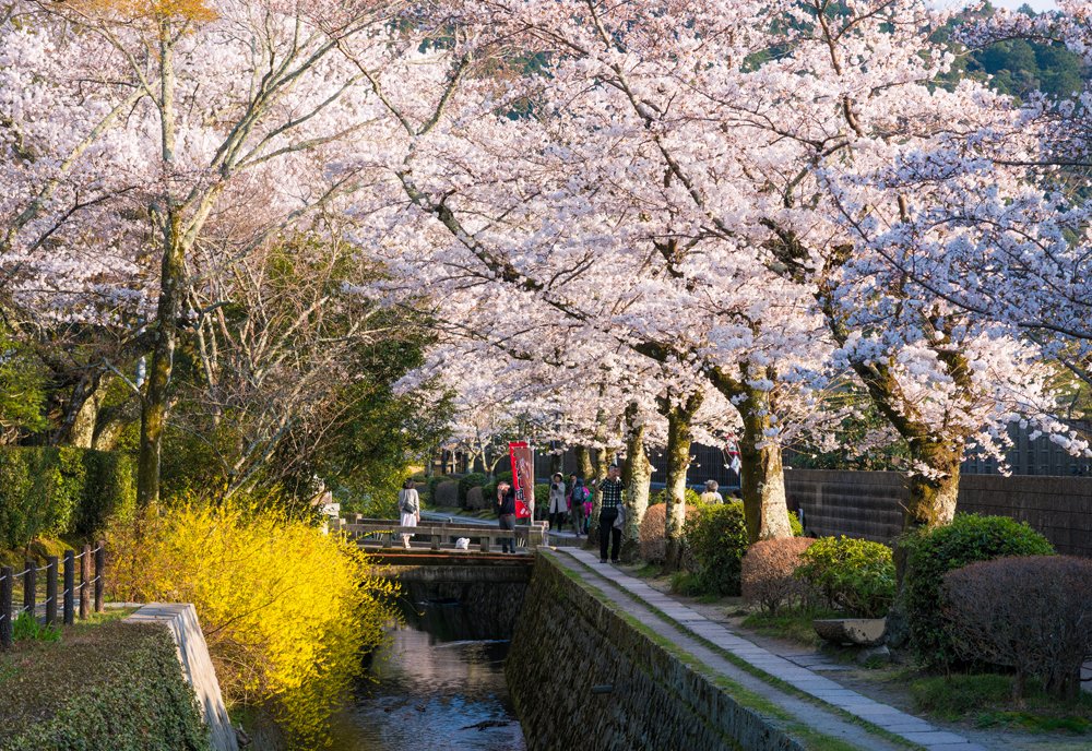 🌳 히가시야마토미나미 공원 이미지 5